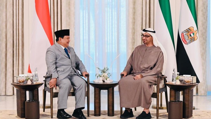 momen-pertemuan-prabowo-bertemu-presiden-mbz-di-abu-dhabi-1744196666672_169