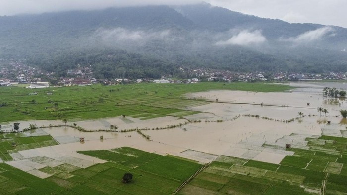 1747976996707-banjir-rendam-95-hektare-sawah-di-ciamis-1747970923073_169