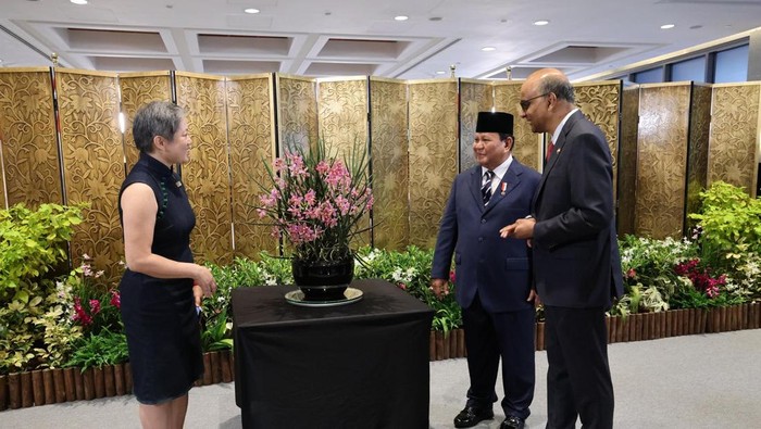1750072117267-presiden-prabowo-dan-presiden-singapura-1750069431277_169