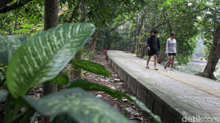 1751043991238-jadi-paru-paru-jakbar-hutan-kota-srengseng-bakal-ditata-1751006599981_169