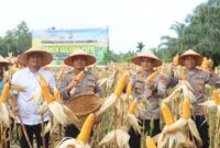 1761392251261-polres-dumai-panen-1-ton-jagung-dukung-ketahanan-pangan-nasional-1761384306564_169
