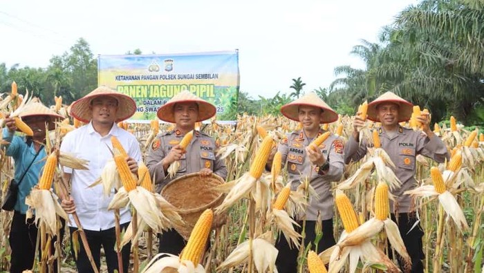 1761392251261-polres-dumai-panen-1-ton-jagung-dukung-ketahanan-pangan-nasional-1761384306564_169