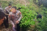 1761457068405-polisi-saat-mengevakuasi-potongan-tubuh-bayi-yang-diduga-dimutilasi-dan-dibuang-di-bibir-ngarai-sianok-kota-bukittinggi-antara-1761448137341_169
