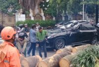 1761478746782-mobil-lexus-tertimpa-pohon-tumbang-di-pondok-indah-dok-bpbd-dki-1761473822001_169