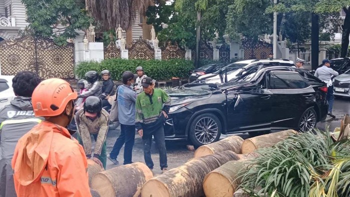 1761478746782-mobil-lexus-tertimpa-pohon-tumbang-di-pondok-indah-dok-bpbd-dki-1761473822001_169