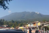 1761478790330-gunung-gede-pangrango_169