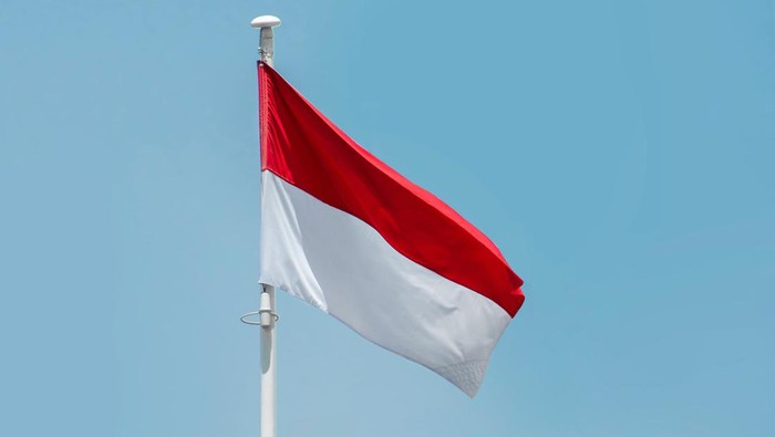 1761543872396-ilustrasi-bendera-merah-putih_169