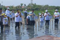 1761544090792-wapres-gibran-menanam-mangrove-di-taman-mangrove-ketapang-kabupaten-tangerang-banten-ariefdetikcom-1761538254939_169