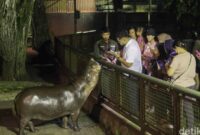 1761716904070-sensasi-baru-wisata-malam-di-taman-margasatwa-ragunan-1760189608943