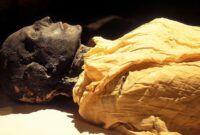 1761738153230-radiokarbon-jam-alami-yang-bisa-menentukan-waktu-kematian-seseorang-1761735212441