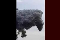 1761759699809-gumpalan-hitam-yang-terbang-di-langit-subang-1761738875770_169