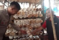1761759806831-bhabinkamtibmas-di-kota-dumai-riau-sukses-dampingi-warga-dalam-budidaya-jamur-hingga-cabai-1761749438226_169