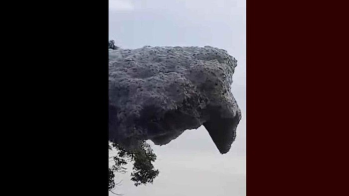 1761824937192-gumpalan-hitam-yang-terbang-di-langit-subang-1761738875770_169