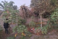 1761846294475-penampakan-kuburan-pria-yang-tewas-terbungkus-terpal-di-kabupaten-siak-riau-1761754162495_169