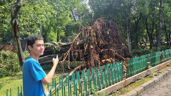 1761889780509-pohon-tumbang-di-dharmawangsa-jaksel-tewaskan-1-orang-taufiqdetikcom-1761884320984_169