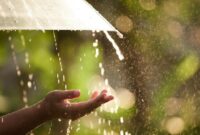 1761911242501-ilustrasi-hujan-1761276974172_169
