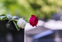 1761932594220-ilustrasi-karangan-bunga_169