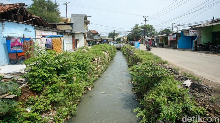 1762083556100-pasca-penertiban-kali-baru-bekasi-lahan-bekas-bangli-kini-dipenuhi-rumput-liar-1762053465211_169