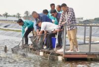 1762083658253-kkp-1762075405934_169