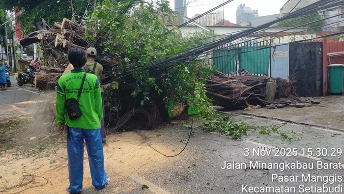 1762170213704-hujan-deras-disertai-angin-kencang-sempat-menyebabkan-pohon-tumbang-di-minangkabau-manggarai-jakarta-selatan-rute-transjakarta-1762167368449_169