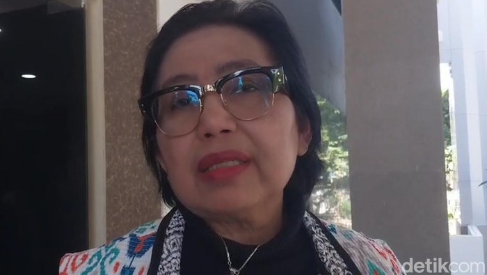 1762429744304-anggota-komisi-ix-dpr-ri-irma-suryani-saat-kunker-ke-pemprov-ntb-rabu-2852025-foto-ahmad-viqidetikbali-1748420962833_169