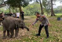 1762429830535-kapolda-riau-irjen-pol-herry-heryawan-patroli-hutan-di-kawasan-konservasi-twa-buluh-cina-kabupaten-kampar-1762423393057_169