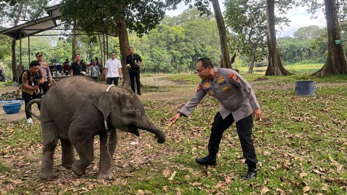 1762429830535-kapolda-riau-irjen-pol-herry-heryawan-patroli-hutan-di-kawasan-konservasi-twa-buluh-cina-kabupaten-kampar-1762423393057_169