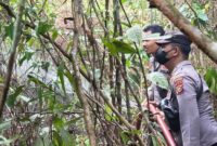 1762602065445-pamapta-polres-kampar-hingga-tni-turun-memadamkan-karhutla-di-kabupaten-kampar-1762597726485_169