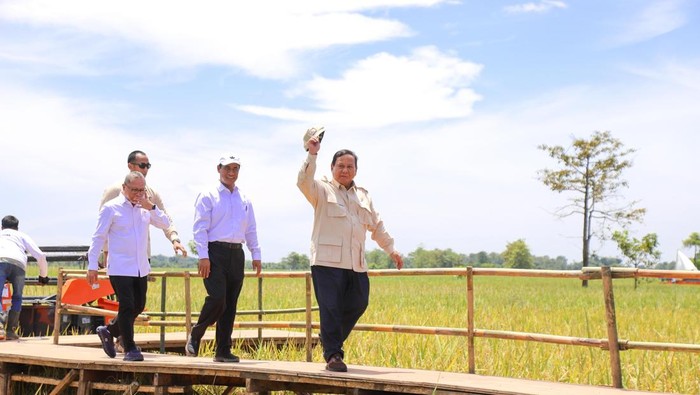 1762602125949-ilustrasi-swasembada-pangan-1762593423433_169