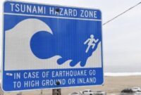 1762688524460-files-us-russia-japan-earthquake-tsunami-1753843530954_169