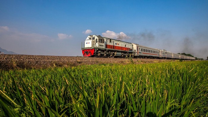 1763120618822-ilustrasi-kereta-api-3_169