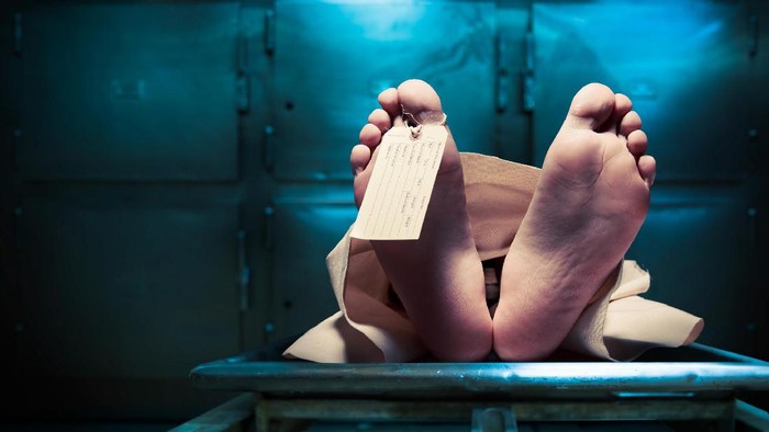 1763120645993-7e57d5cc-112b-410c-bc8b-1dd3f52fbb47_169