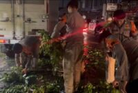 1763271473425-brimob-bersihkan-pohon-tumbang-di-tangsel-1763265059354_169