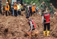 1763335578149-anjing-pelacak-turun-tangan-tim-sar-temukan-2-korban-longsor-di-cilacap-1763293410617_169