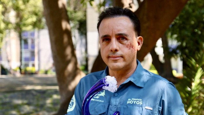 1763358652568-testimoni-seorang-peneliti-setelah-kepalanya-digigit-hiu-hewan-ini-membiarkan-saya-hidup-1763355666689