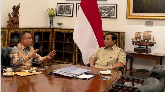 1763380145445-prabowo-bertemu-4-mata-dengan-dasco-di-istana-1763374519768_169