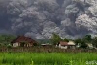 1763571969833-gunung-semeru-luncurkan-awan-panas-55-km-1763547883753_169