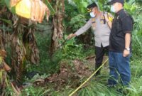 1763571974812-polisi-mengungkap-awal-mula-penemuan-jasad-pria-dibungkus-dalam-plastik-dan-karung-di-kebun-pisang-kampung-bunder-cikupa-kabup-1763526800651_169