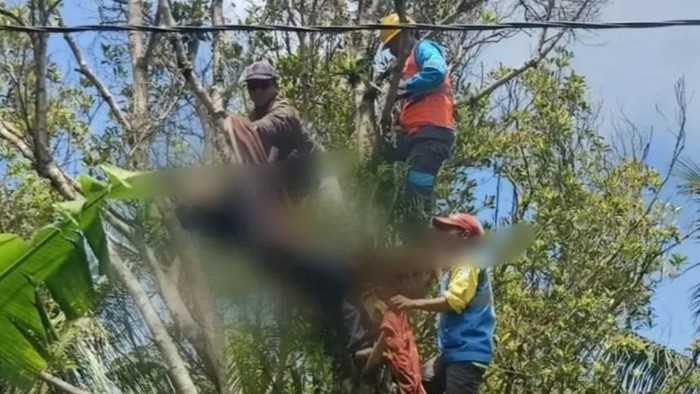 1763593487468-proses-evakuasi-korban-tersetrum-listrik-di-pemalang-rabu-19112025-1763547563152_169