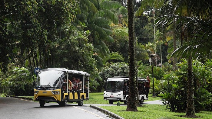 1763658346609-wali-kota-bogor-ajak-delegasi-the-ambassador-summit-2025-keliling-kebun-raya-1763652666548_169