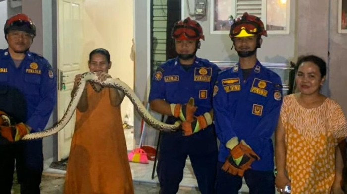 1764133581296-damkar-depok-evakuasi-sanca-25-meter-yang-masuk-ke-kamar-mandi-rumah-warga-1764132515957_169