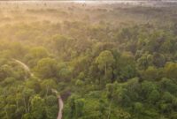 1764176807700-da7dc07b-1e27-468b-9e63-2f17ec0e1d21_169