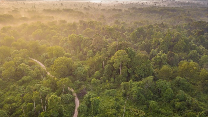 1764176807700-da7dc07b-1e27-468b-9e63-2f17ec0e1d21_169