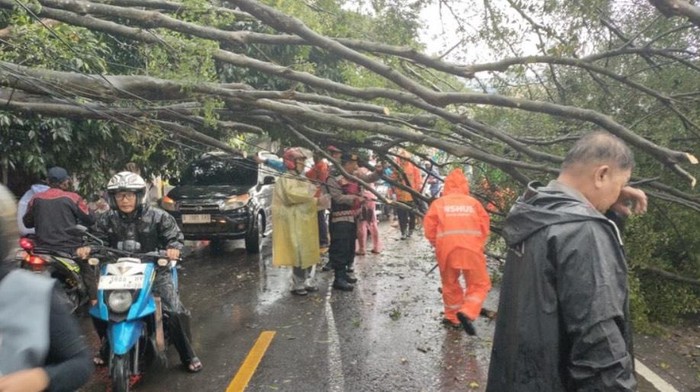 1764760040102-pohon-tumbang-di-jl-muchtar-raya-depok-dok-istimewa-1764758794762_169