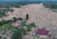 1765019172535-gelondongan-kayu-pascabanjir-beberkan-rusaknya-hutan-aceh-1765011763706_169