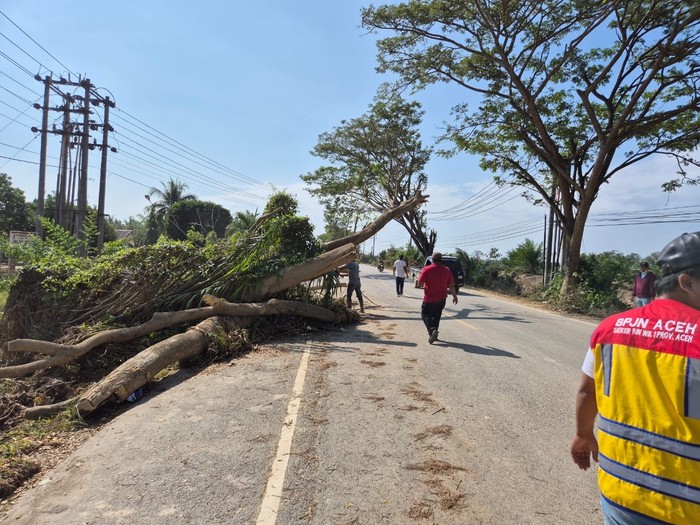 1765019173052-kementerian-pekerjaan-umum-pu-terus-mempercepat-pemulihan-akses-jalan-di-kabupaten-aceh-tamiang-pascabencana-banjir-dan-longso-1765011640608
