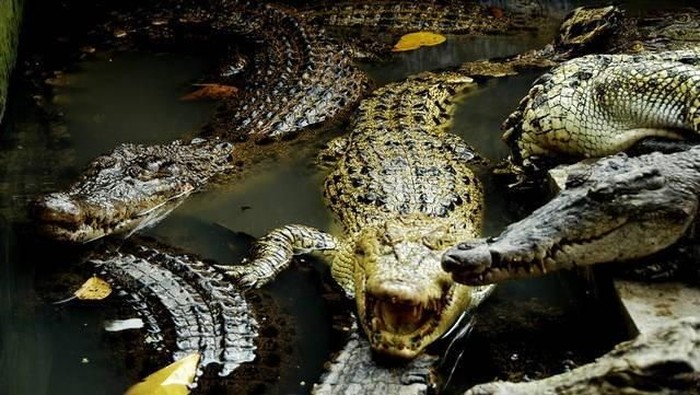 1765062301053-0426e3d0-3f1d-46b4-a17d-430485833bae_169