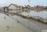 1765083939615-ilustrasi-banjir-rob_169