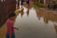 1765083941582-warga-melintasi-genangan-banjir-susulan-di-gampong-aceh-kabupaten-aceh-timur-minggu-7122025-1765081751601_169