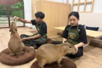 1765083945137-capybara-cafe-1765080262837_43